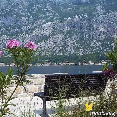 Mines Podgorica